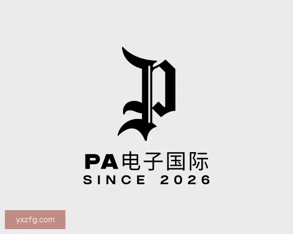 介绍PA电子